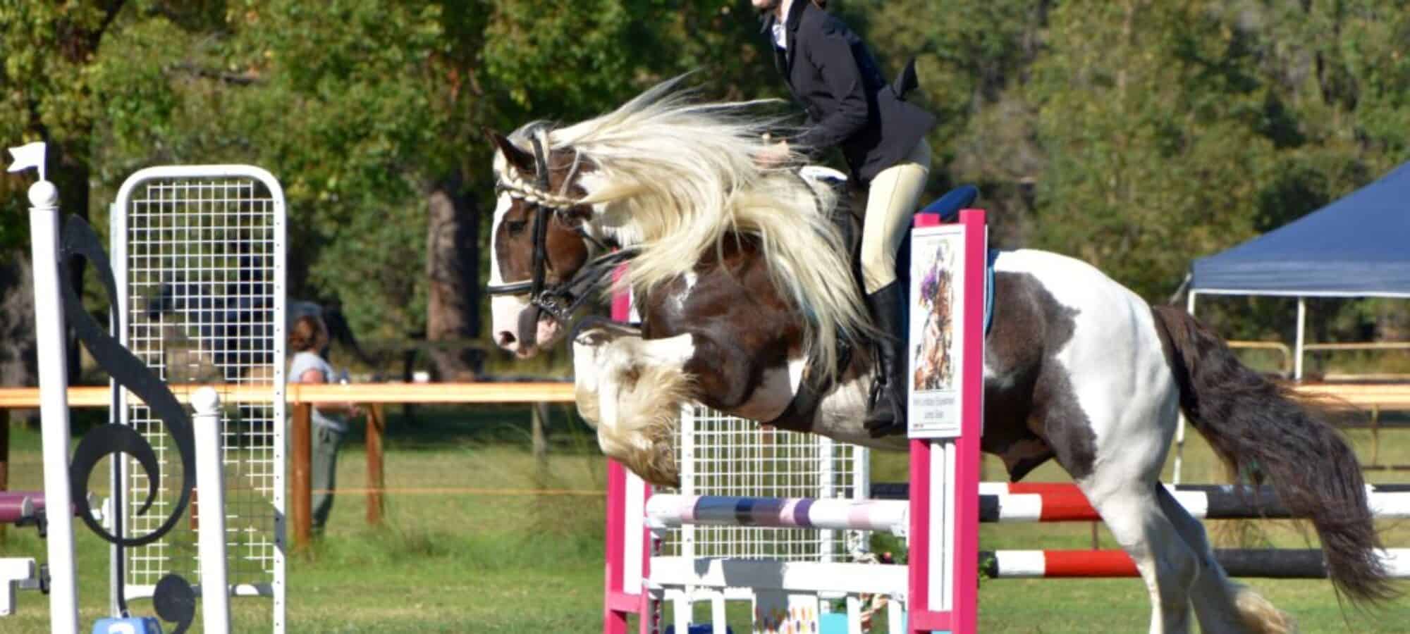 c126d9_13c5b675ceff4bca8e8dc9a60a5ee547_mv2_d_6000_4000_s_4_2