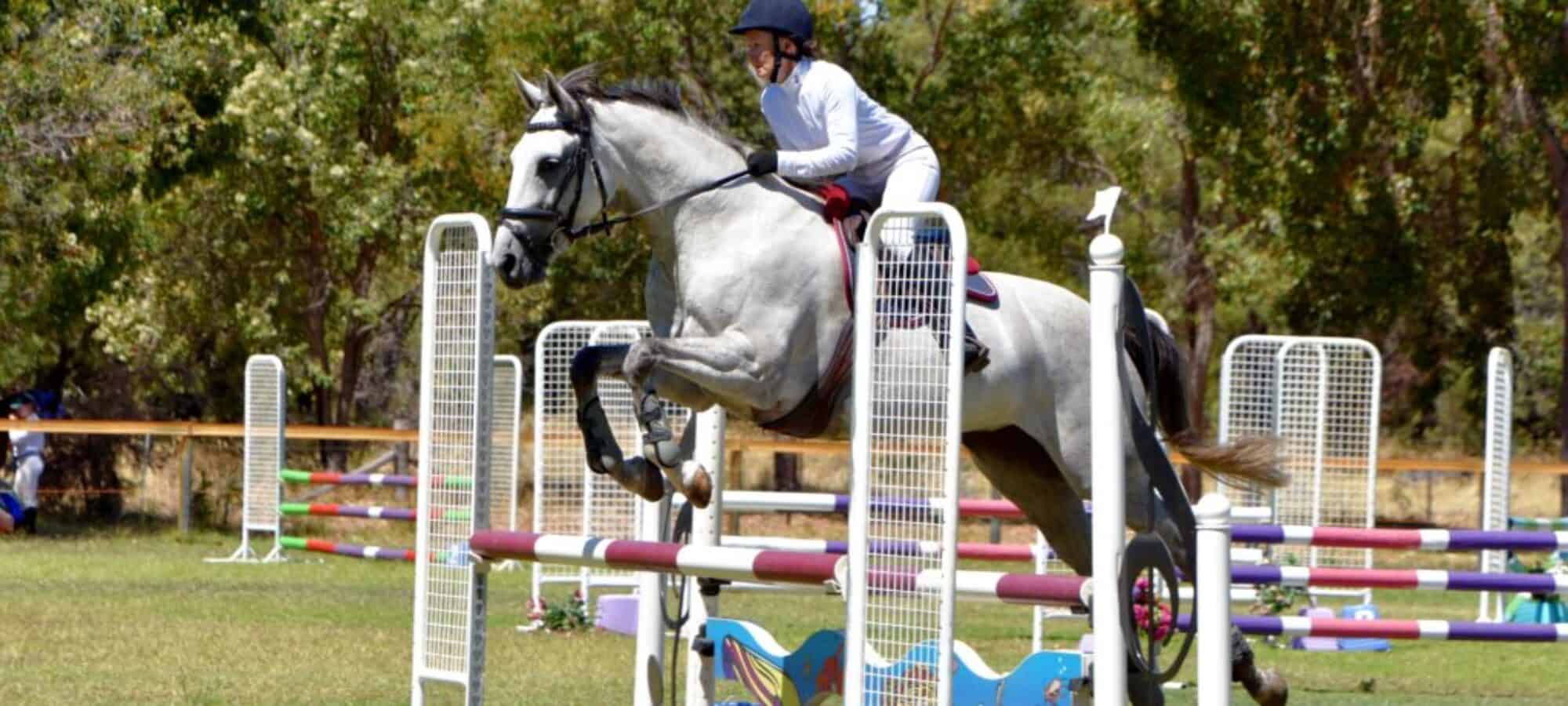 c126d9_3f79716765804c3e85d9c1ba1aa53fef_mv2_d_6000_4000_s_4_2